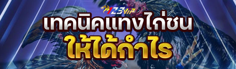 เทคนิคแทงไก่ชน ให้ได้กำไร